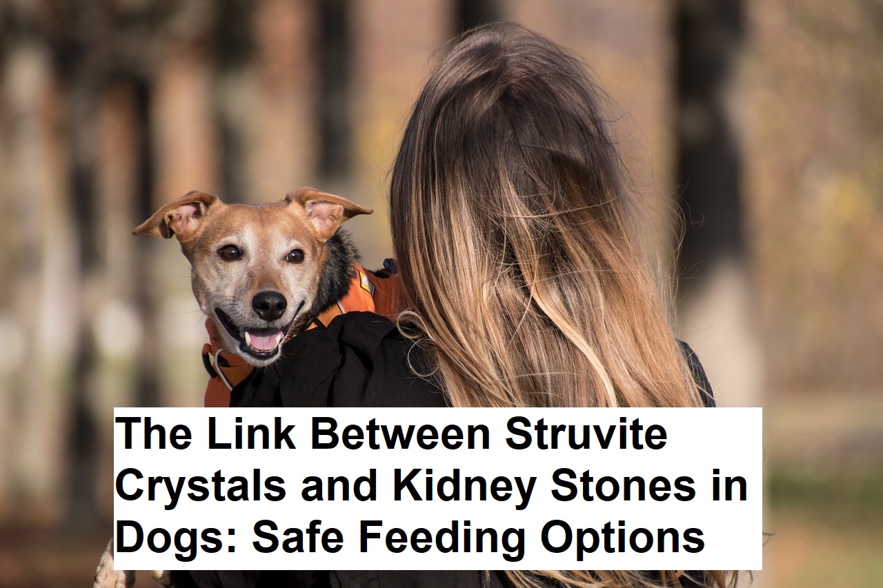 The Link Between Struvite Crystals and Kidney Stones in Dogs: Safe Feeding Options