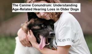 The Canine Conundrum: Understanding Age-Related Hearing Loss in Older Dogs