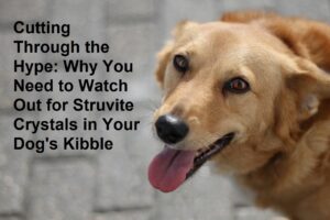 Cutting Through the Hype: Why You Need to Watch Out for Struvite Crystals in Your Dog's Kibble