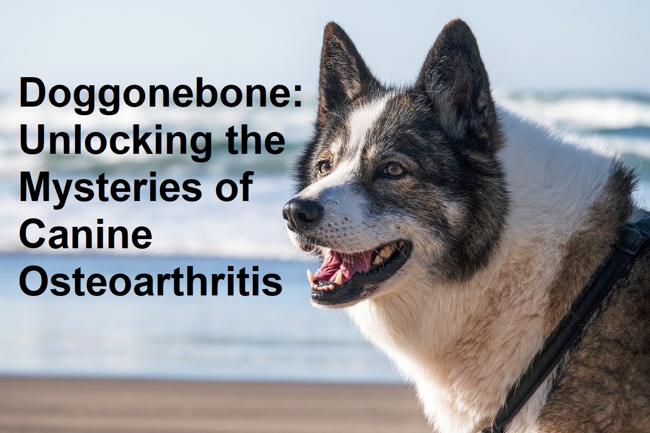 Doggonebone: Unlocking the Mysteries of Canine Osteoarthritis