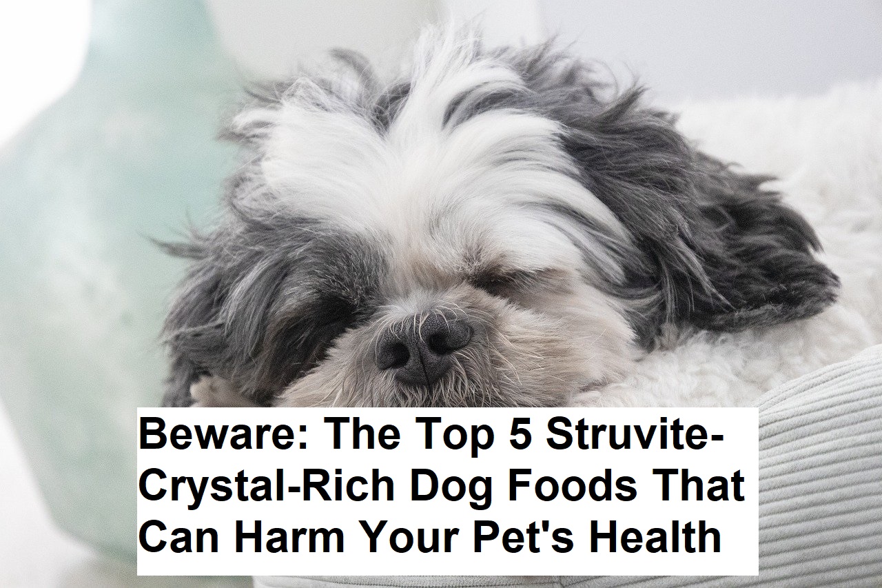 Beware: The Top 5 Struvite-Crystal-Rich Dog Foods That Can Harm Your Pet's Health