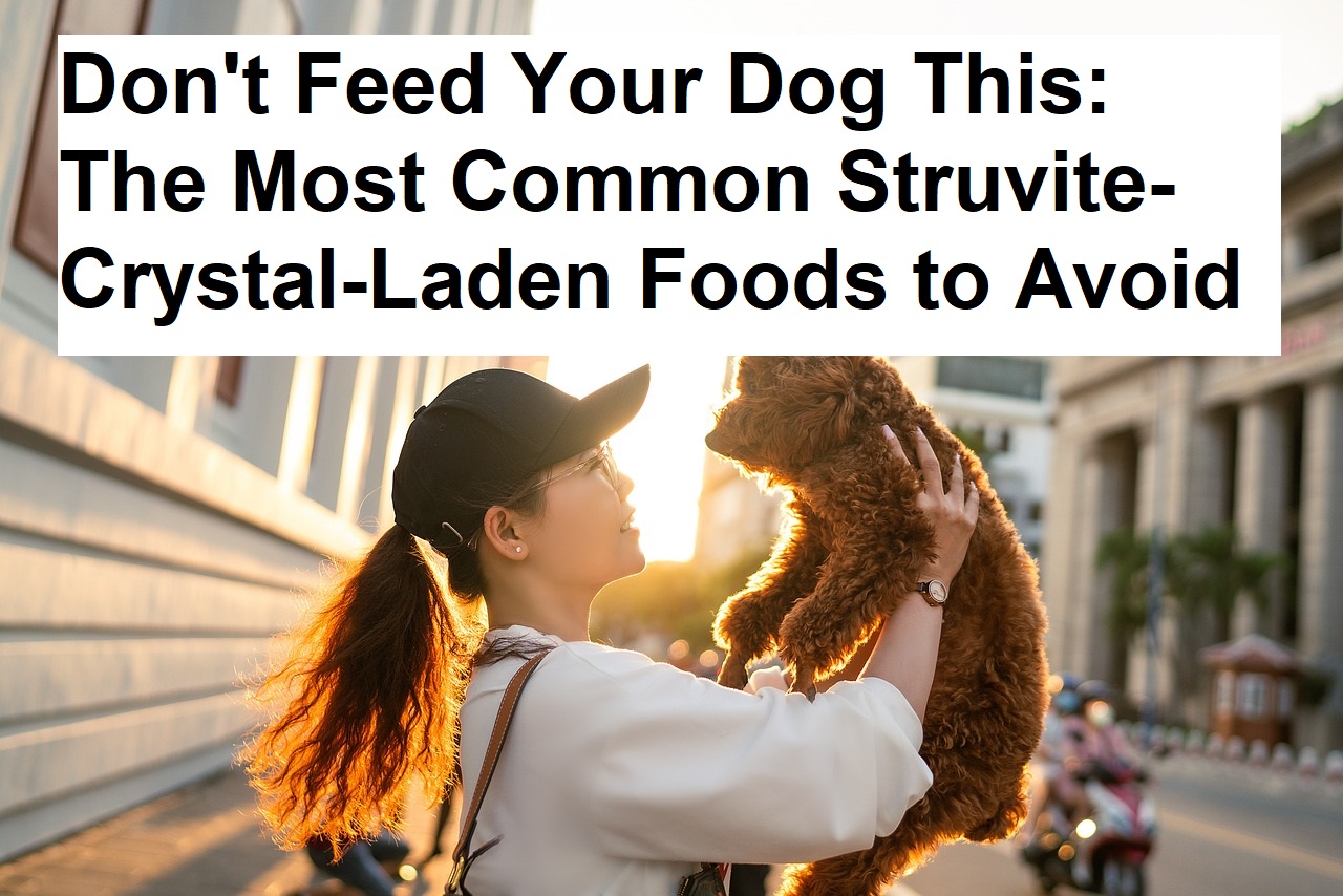 Don't Feed Your Dog This: The Most Common Struvite-Crystal-Laden Foods to Avoid