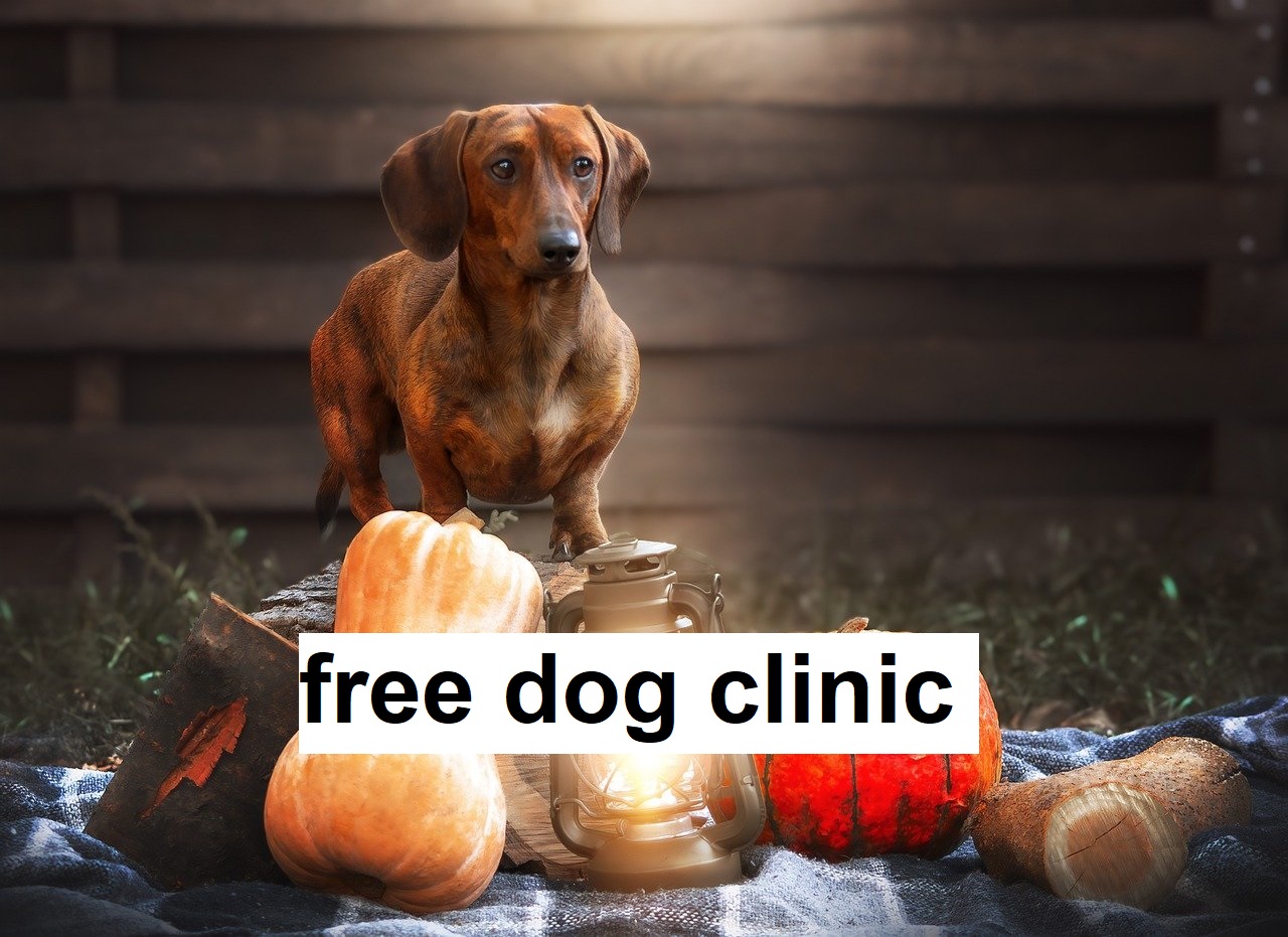 free dog clinic