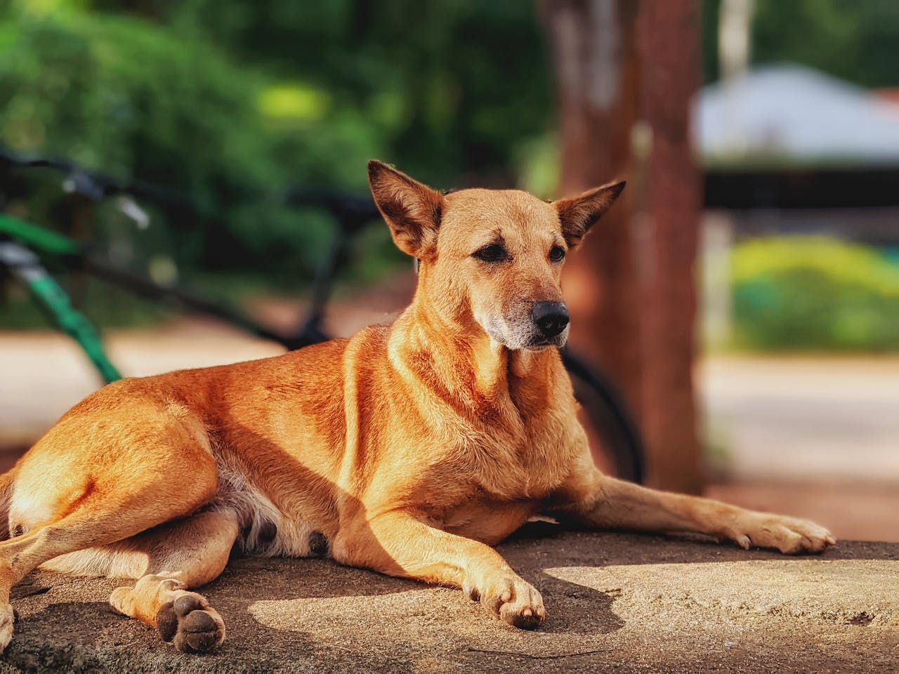 about-us pexels-photo-35246029.jpeg